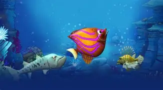 Feeding Frenzy